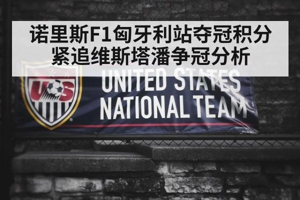 诺里斯F1匈牙利站夺冠积分紧追维斯塔潘争冠分析