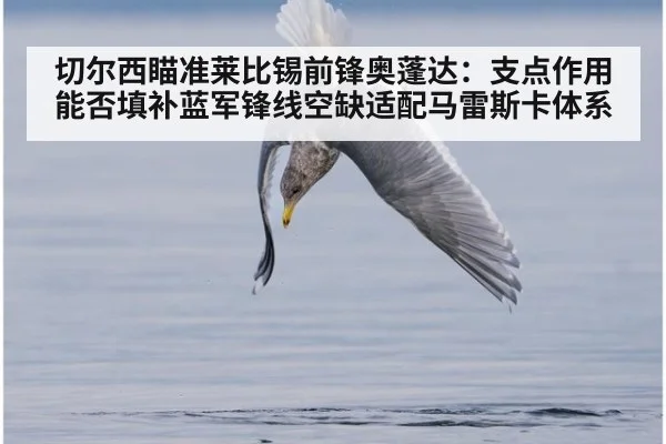 切尔西瞄准莱比锡前锋奥蓬达：支点作用能否填补蓝军锋线空缺适配马雷斯卡体系