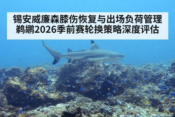 锡安威廉森膝伤恢复与出场负荷管理 鹈鹕2026季前赛轮换策略深度评估